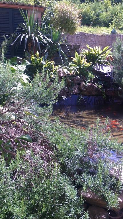 Hotel Ristorante El Caracol Mulazzo ภายนอก รูปภาพ